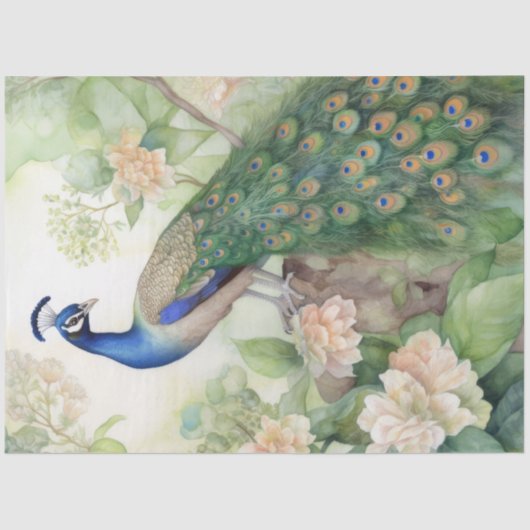  Boho Peacock Peacocks Ontkoppeling Tissuepapier (Voorkant)