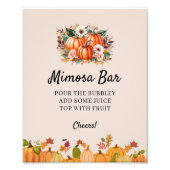 Boho Pompoen Herfst Baby shower Mimosa Bar Foto Afdruk (Voorkant)
