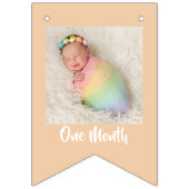 Boho Rainbow Birthday Banner | Eerste verjaardag (Derde vlag)