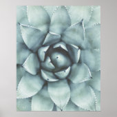 Boho Sage Groen Succulent Closeup Poster (Voorkant)