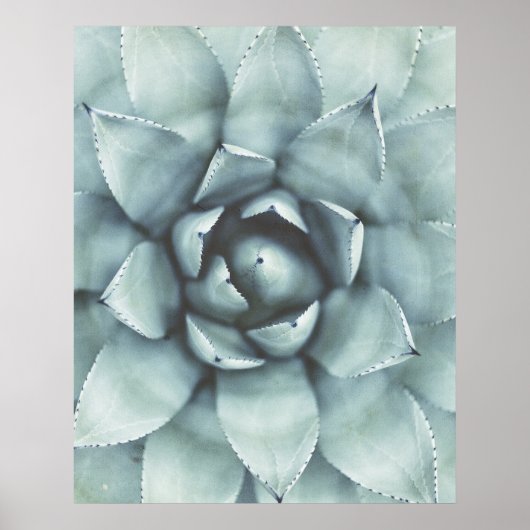 Boho Sage Groen Succulent Closeup Poster (Voorkant)