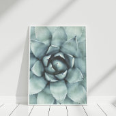 Boho Sage Groen Succulent Closeup Poster