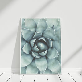 Boho Sage Groen Succulent Closeup Poster