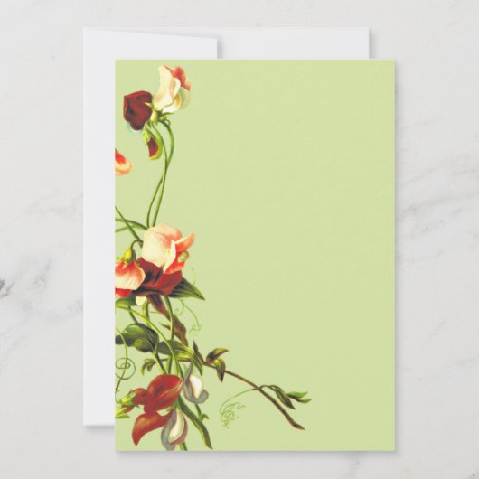 Boho Sage Groenery Elegante Rozen Bloem Bruiloft Save The Date (Achterkant)