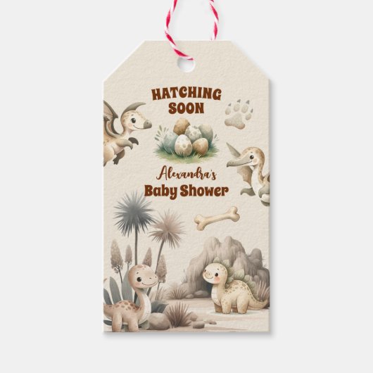 Boho Schattige Hatching Soon Dinosaur Baby shower Cadeaulabel (Voorkant)