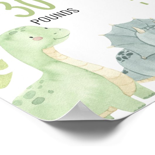 Boho Schattigee Dinosaurussen 1e Verjaardag Mijlpa Poster (Hoek)