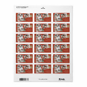 Boho Terracotta Multiphoto Kerstmis dennenboom Etiket (Full Sheet)