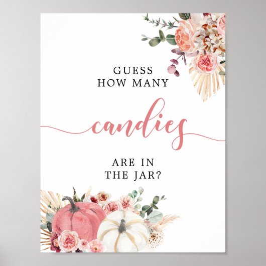 Boho Twin Roze Wit Pompoen Baby shower Hoeveel Poster (Voorkant)