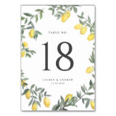 Boho Waterverf Lemon Wreath Wedding Kaart (Achterkant)