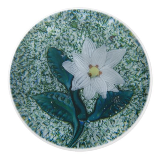Boho White Star Flower Green Sparkle Keramische Knop (Voorkant)