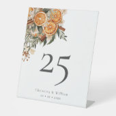 Boho Winter Vakantie Bruiloft Tafelnummer Reclamebord Met Voetstuk (Voorkant)