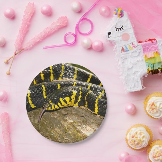 Boiga dendrophila of mangrove snake papieren bordje (Feest)