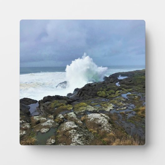 Boiler Bay State Wayside, Depoe Bay, Oregon Fotoplaat (Voorkant)