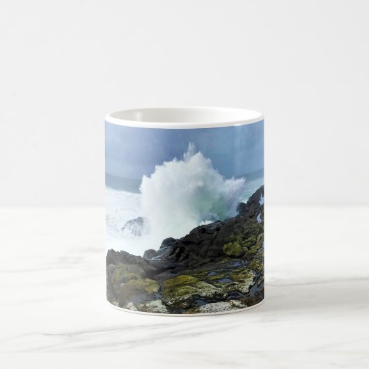 Boiler Bay State Wayside, Depoe Bay, Oregon Koffiemok (Center)