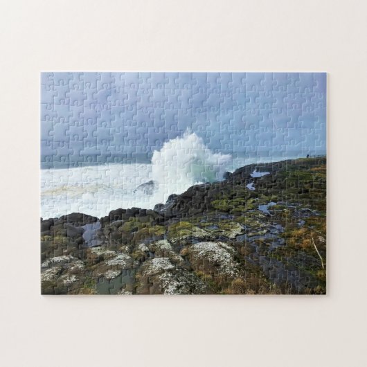 Boiler Bay State Wayside, Depoe Bay, Oregon Legpuzzel (Horizontaal)