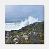 Boiler Bay State Wayside, Depoe Bay, Oregon Magneet (Voorkant)