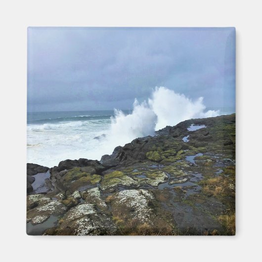 Boiler Bay State Wayside, Depoe Bay, Oregon Magneet (Voorkant)