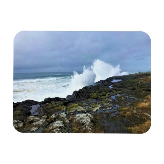 Boiler Bay State Wayside, Depoe Bay, Oregon Magneet (Horizontaal)