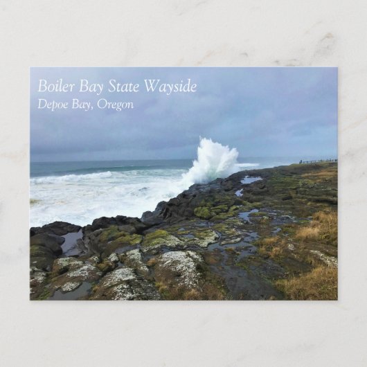 Boiler Bay State Wayside, Depoe Bay, Oregon Postca Briefkaart (Voorkant)