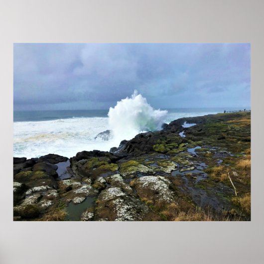 Boiler Bay State Wayside, Depoe Bay, Oregon Poster (Voorkant)