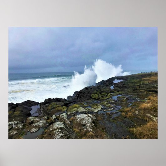 Boiler Bay State Wayside, Depoe Bay, Oregon Poster (Voorkant)