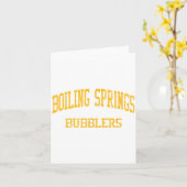Boiling Springs High School Hs Boiling Springs Pa  Kaart (Gele Bloem)