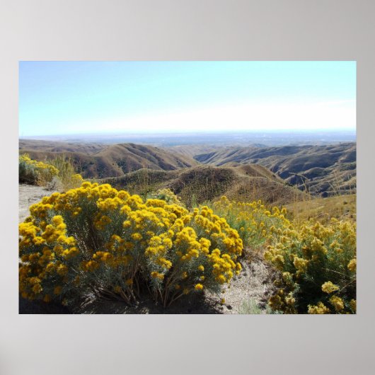 Boise Foothills Poster (Voorkant)