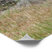 Boise Foothills Poster (Hoek)