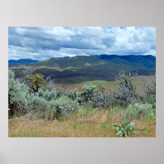 Boise Foothills Poster (Voorkant)