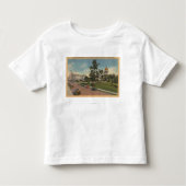 Boise, ID - Uitzicht van Capital Park & Surround Kinder Shirts (Voorkant)