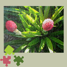 Bok Gardens Florida Roze Tropische Bromeliad Flowe Legpuzzel