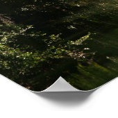 Bok Tower 2 Poster (Hoek)