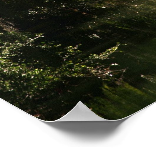 Bok Tower 2 Poster (Hoek)