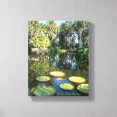 Bok Tower Gardens Florida Giant Water Lily Pads Canvas Afdruk (Voorkant)