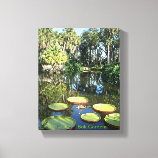 Bok Tower Gardens Florida Giant Water Lily Pads Canvas Afdruk (Voorkant)