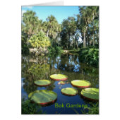 Bok Tower Gardens Florida ~ Victoria Water Lilies (Voorkant)