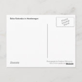 Boka Kotorska in Montenegro Briefkaart (Achterkant)