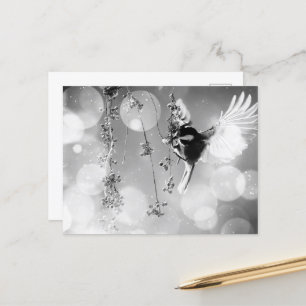 Bokeh Bubbles Flying Hummingbird - B&W Briefkaart