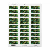 Bokeh Glam Groen & Goud Adreslabels Etiket (Full Sheet)