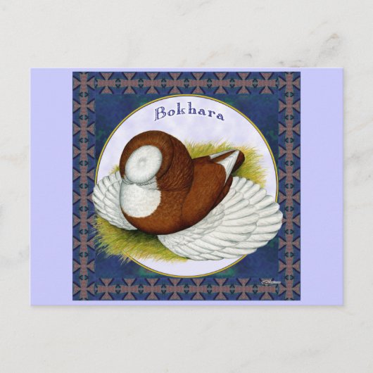 Bokhara duif in de ronde briefkaart (Voorkant)