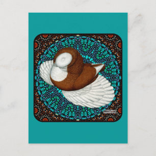Bokhara Pigeon Fancy Briefkaart