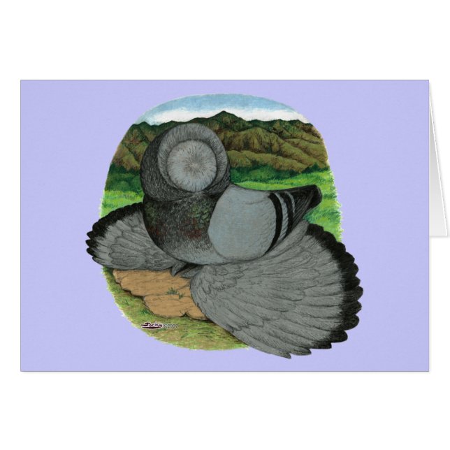 Bokhara Trumpeter Duif Blauw (Voorkant Horizontaal)