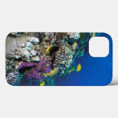 Bokkenvissen zwermen rond kleine koraal Case-Mate iPhone case (Achterkant (horizontaal))