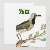 Bokmakierie | Bird Animation Jigsaw Grandma Kaart (Voorkant / Achterkant)