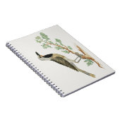 Bokmakierie | Vogeldieren Notitieboek (Rechterzijde)