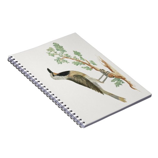 Bokmakierie | Vogeldieren Notitieboek (Rechterzijde)