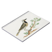 Bokmakierie | Vogeldieren Notitieboek (Linkerzijde)