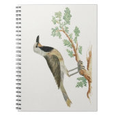 Bokmakierie | Vogeldieren Notitieboek (Voorkant)