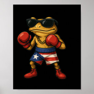 Boksen Coqui Puerto Ricaanse Vlag Zonnebrillen Bor Poster