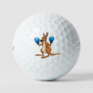 Boksen Kangoeroe Titleist 2023 Pro V1 Golfballen